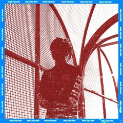 alvagrim - fuckk it up (feat. indikae) (flip)