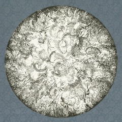 PREMIERE : Shedbug - Recovery