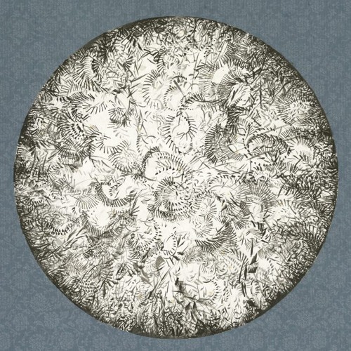 PREMIERE : Shedbug - Recovery