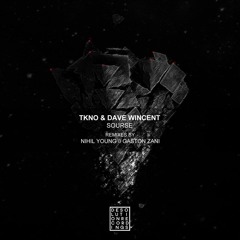 TKNO, Dave Wincent - Source (Gaston Zani Remix) [Desolution Recordings]