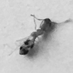 มนุษย์ต่างดาวก็มีหัวใจนะ ( Alien heart )