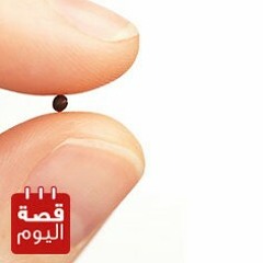 قصص اطفال قبل النوم... قصة بيت لم يعرف الحزن....بصوت ايمي مصطفي .wav