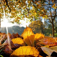 Dj Si Leech Autumn House Mix 2016