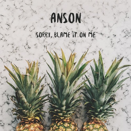 Stream Akon - Sorry, Blame It On Me (ANSON Tropical Remix) by anson |  Listen online for free on SoundCloud