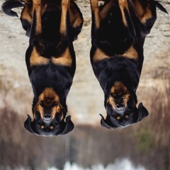 2TIME$ FT CHIEFA LOUDMOUTH AND KEVIN Q - TOE TO TOE