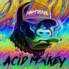 ACID MONKEY - KAMIKAZE