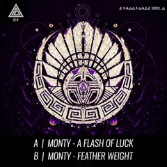 Plasma 014A - Monty - A Flash of Luck  (OUT NOW)