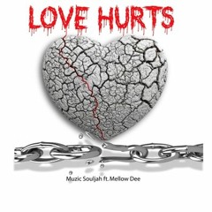 Muzic Souljah Ft Mellow Dee - Love Hurts