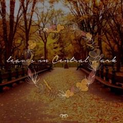 leaves in Central Park