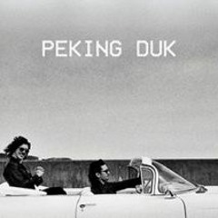 Peking Duk - Stranger (Pucky & TuneSquad Bootleg)