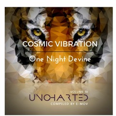 Cosmic Vibration - One Night Devine