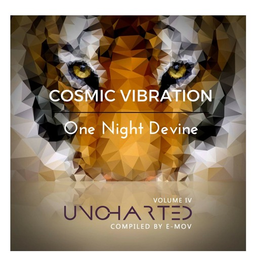 Cosmic Vibration - One Night Devine