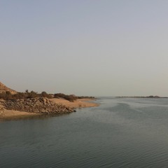 دع الأيام تفعل ماتشاء