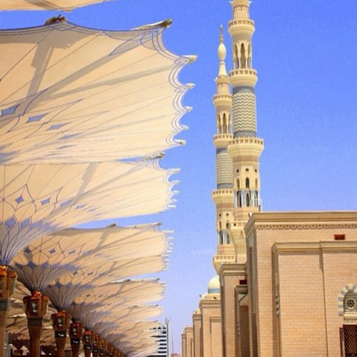 كيف كانت همة السّلف في طلب العلم؟ - الشيخ العلامة ربيع بن هادي المدخلي -حفظه الله تعالى