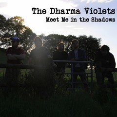 Meet Me In The Shadows