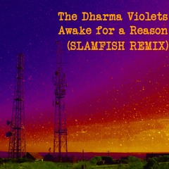 The Dharma Violets - Awake For A Reason (Slamfish Remix)