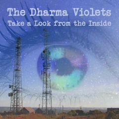 Take A Look From The Inside