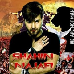Stream Sina Shahin Najafi music | Listen to songs, albums, playlists for  free on SoundCloud