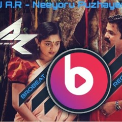 DJ A.R - neeyoru puzhayaay  remix