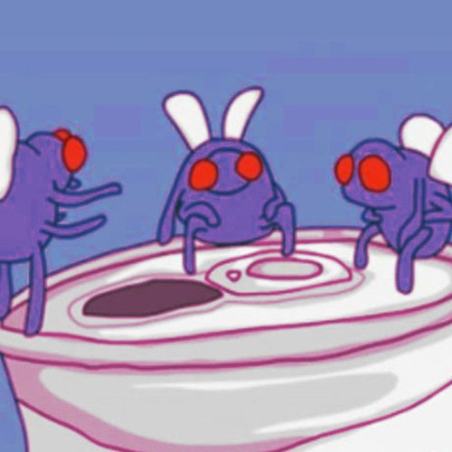 microwaved_loops