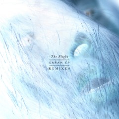 The Flight - The Fury (Ital Tek Remix)
