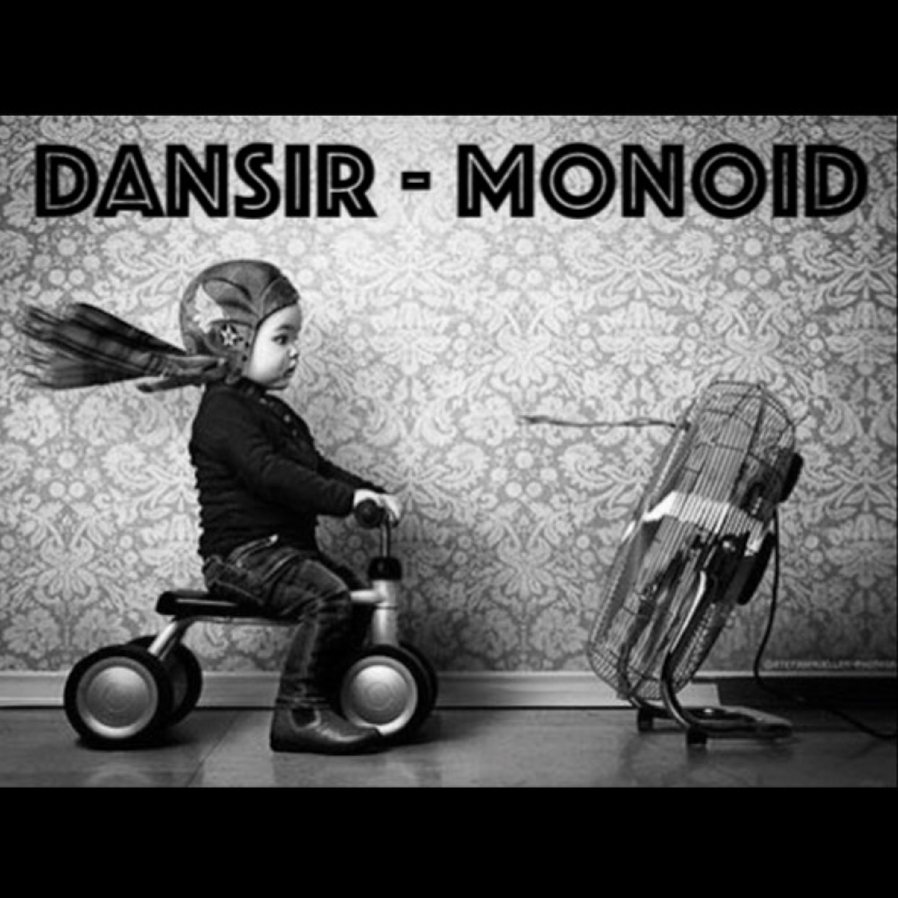 DANSIR