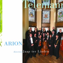 TWV 52:e1 Concerto e-moll [Bfl, Fl, Str] : 2. Allegro