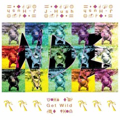 Get Wild (Analog Mix) - J-Hush