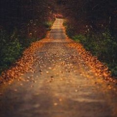 4.L.G - Long Fall (Caprice)