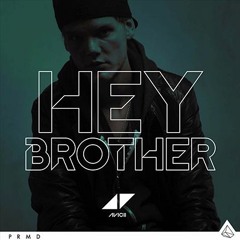 Hey Brother - Avicci (Cover)