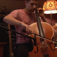 Snoop Dogg - I Love To Give You Light (Remix, Ft. aLion & Allyson Cobbins)