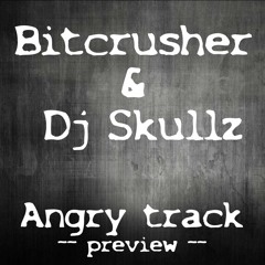 Bitcrusher & DJ Skullz - Angry Track (Preview)