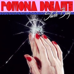 Pomona Dream's Stash Bag / Bootleg Mixtape