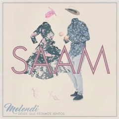 MELENDI - Desde que estamos juntos (Cover by SAAM)