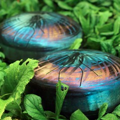 Sound Nest B ~ major 220mm 8.7inch