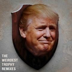 The Weirdest Trophy - Ladybug Mix