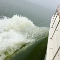 How bad was the green slime in Lake Erie this summer?