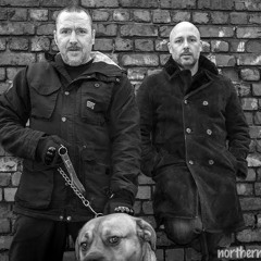 Dust Junky Collective (Dub Pistols) Vega Edit