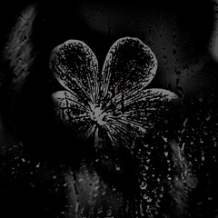 Soul's Funeral