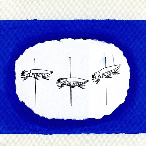 Revolving (demo version)