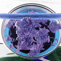 Real LOVE- ishine davis ft. Ro, Unk Skunk