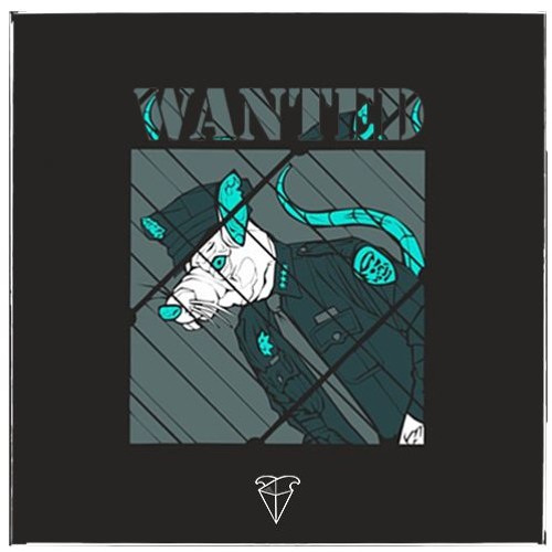 Mercer & SayMyName - Wanted (Avila Remix)