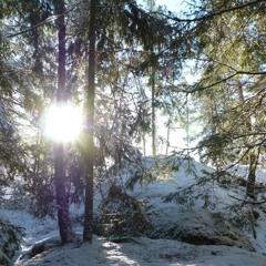 White Winter Hymnal (Fleet Foxes cover)