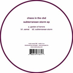 Premiere: Chaos In The CBD - Subterranean Storm