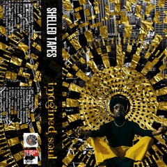 Imagined Soul Compiled By Shelled Tapes (*OUT NOW 20 LIMITED EDITION CASSETTES*)