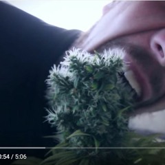 Kräuterhexer  (Videolink below)