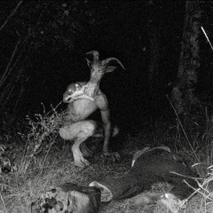 Matt G x J Arritt - The Evil Inside