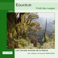 CS005_EQUATEUR -  Forêt des nuages - extraits