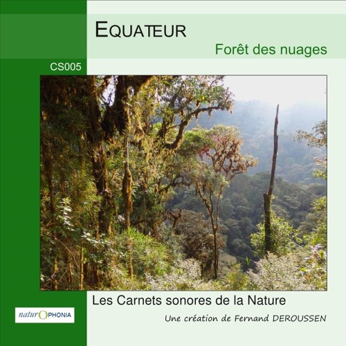 CS005_EQUATEUR -  Forêt des nuages - extraits