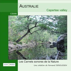 CS006_AUSTRALIE - Capertee valley